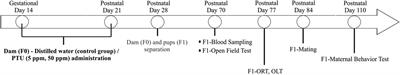 In Utero and Postnatal Propylthiouracil-Induced Mild Hypothyroidism Impairs Maternal Behavior in Mice